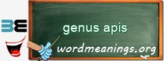 WordMeaning blackboard for genus apis